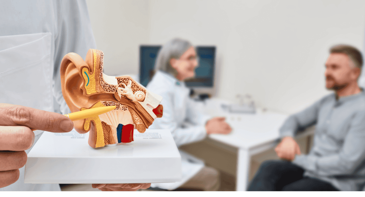 Audiologist with anatomical ear model